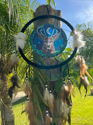 לוכד חלומות   איל