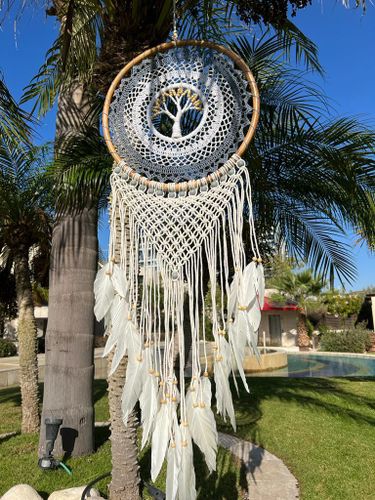 לוכד חלומות 