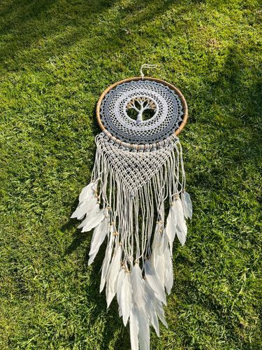 לוכד חלומות 