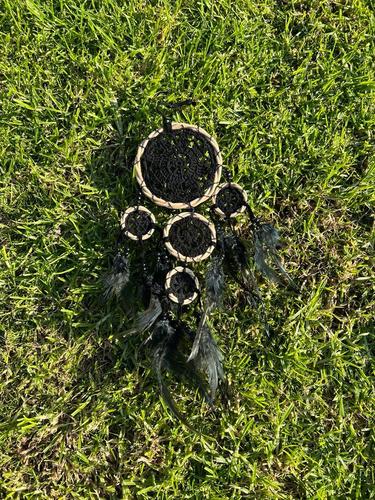 לוכד חלומות  