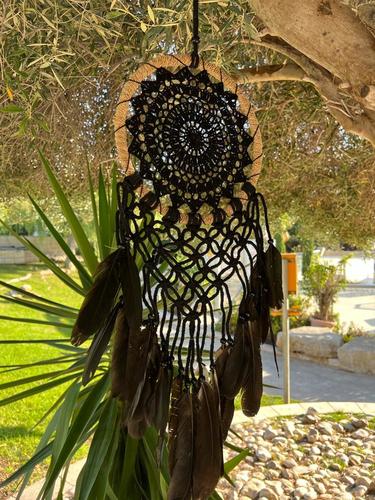 לוכד חלומות  