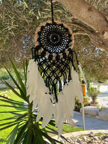 לוכד חלומות  