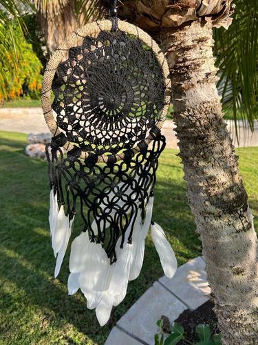 לוכד חלומות  