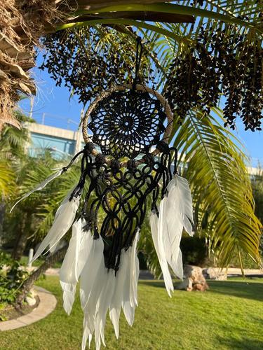 לוכד חלומות  