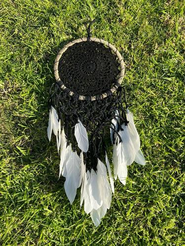 לוכד חלומות  