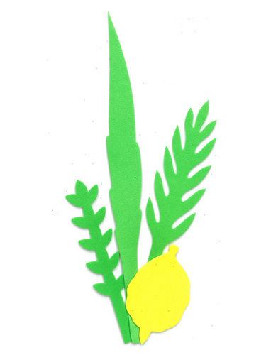חיתוכי סול ארבעת המינים