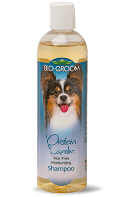 bio groom shampoo