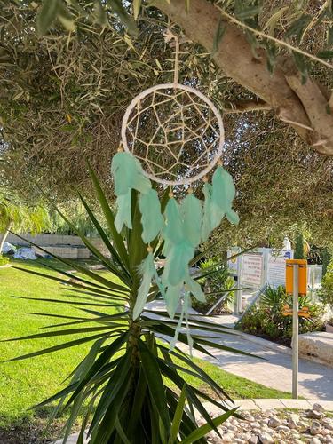 לוכד חלומות  