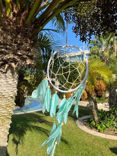 לוכד חלומות  