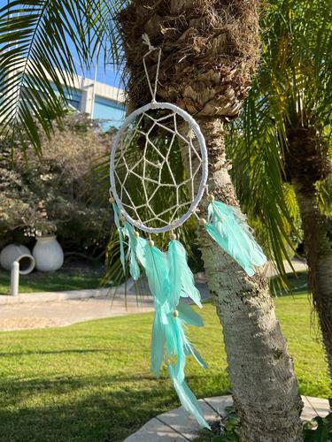 לוכד חלומות  