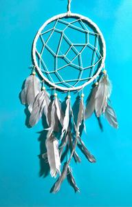 לוכד חלומות  