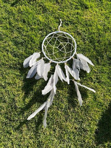 לוכד חלומות  