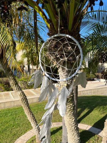 לוכד חלומות  