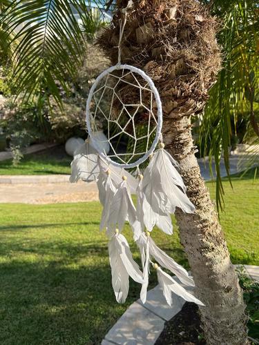 לוכד חלומות  