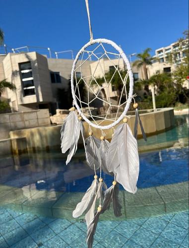 לוכד חלומות  