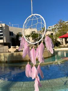 לוכד חלומות  