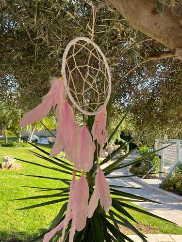 לוכד חלומות  