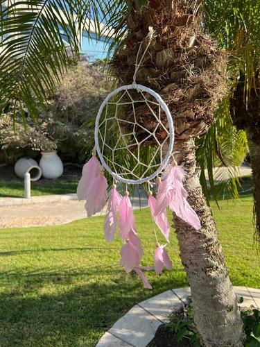 לוכד חלומות  