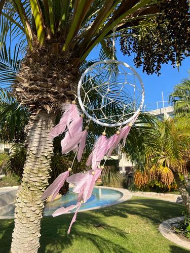 לוכד חלומות  