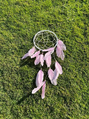 לוכד חלומות  