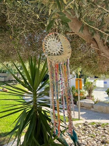 לוכד חלומות  