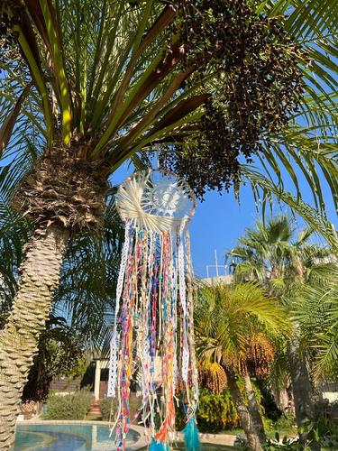 לוכד חלומות  