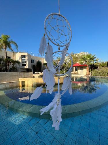 לוכד חלומות  