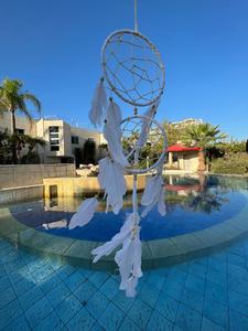 לוכד חלומות  