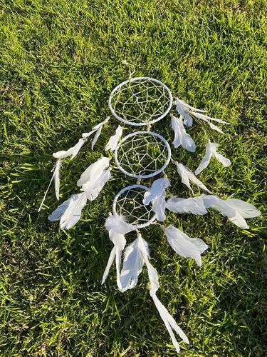 לוכד חלומות  