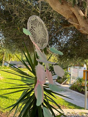 לוכד חלומות  