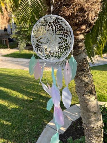 לוכד חלומות  