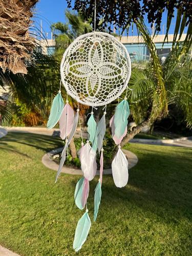 לוכד חלומות  