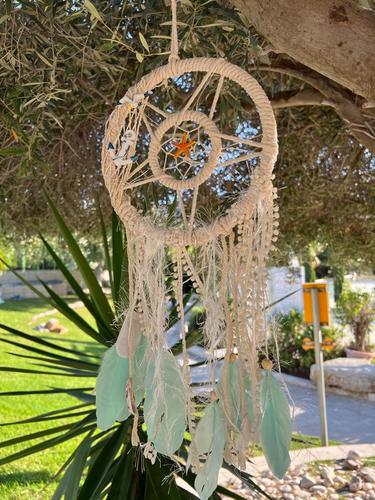 לוכד חלומות  