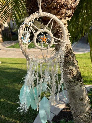 לוכד חלומות  