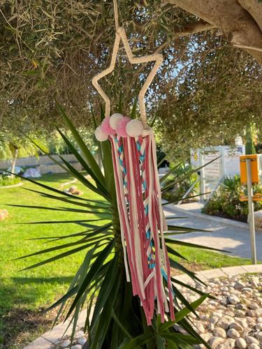 לוכד חלומות  