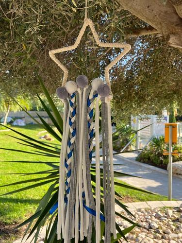 לוכד חלומות  