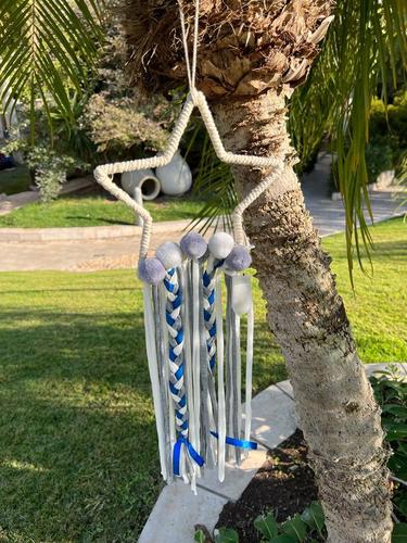 לוכד חלומות  