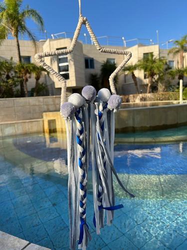 לוכד חלומות  