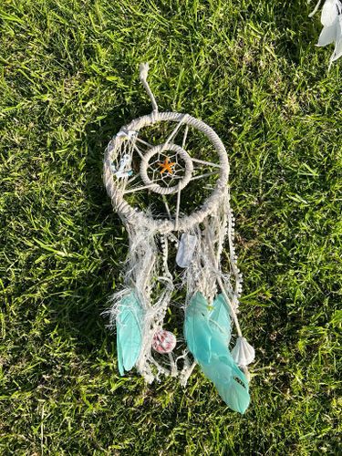 לוכד חלומות  