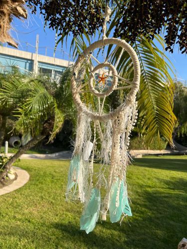 לוכד חלומות  