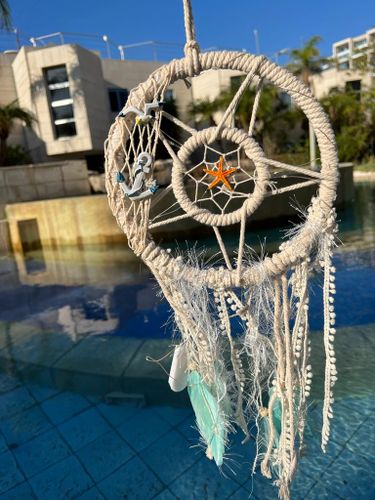 לוכד חלומות  