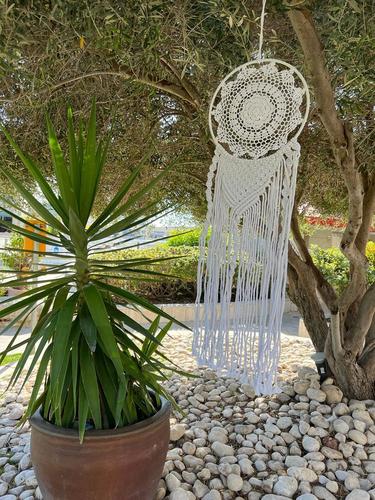 לוכד חלומות 