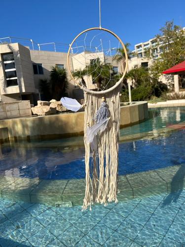 לוכד חלומות  