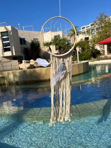 לוכד חלומות  