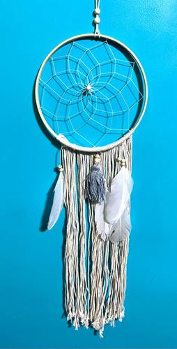 לוכד חלומות  