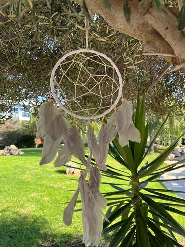 לוכד חלומות  