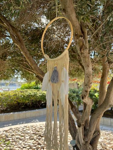 לוכד חלומות  