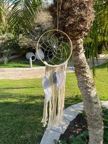 לוכד חלומות  