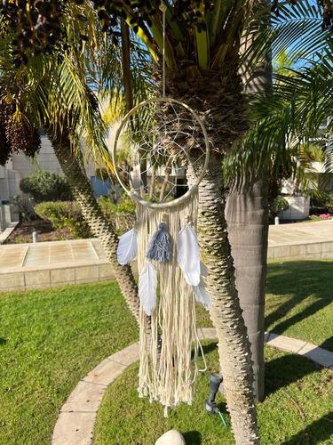 לוכד חלומות  