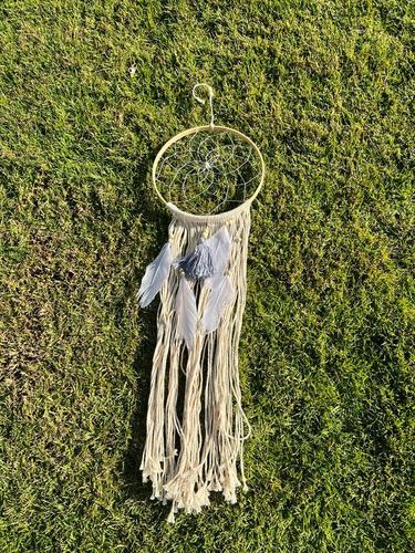 לוכד חלומות  